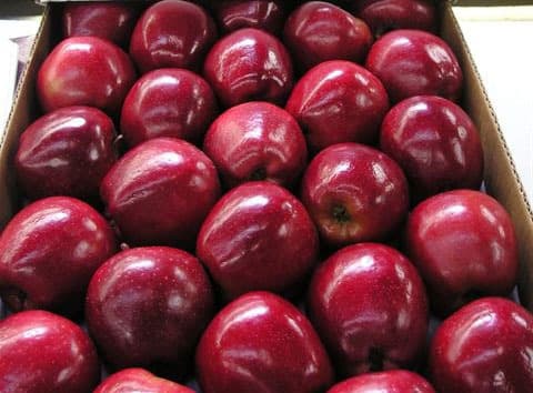 Crisp Red Delicious apples with deep red skin